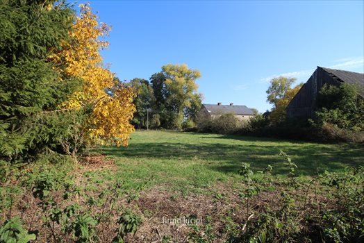 Lokal użytkowy na sprzedaż Studzionka 200m2 Foto 8