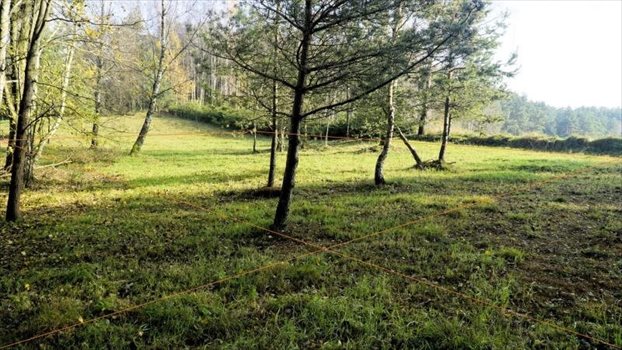 Działka budowlana na sprzedaż Dobrzewino, Chłopska 2 382m2 Foto 6