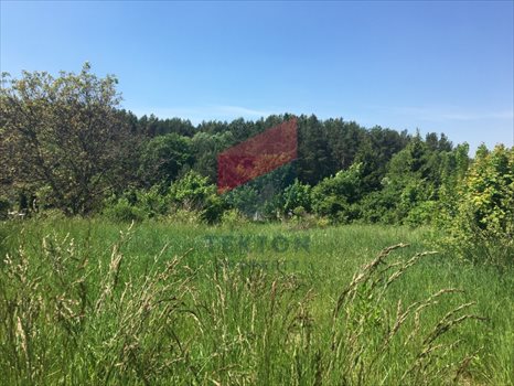 Działka budowlana na sprzedaż Pręgowo, Górne, Strażacka 800m2 Foto 3
