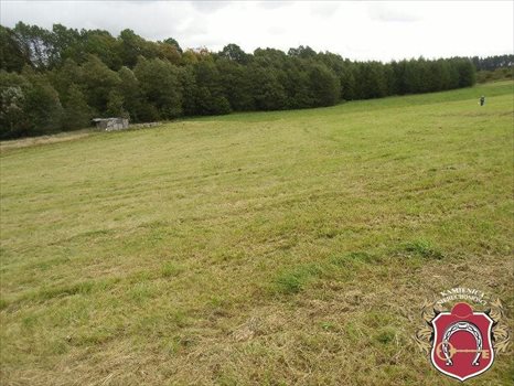 Działka budowlana na sprzedaż Donimierz, Otalerzyńska 30 333m2 Foto 6