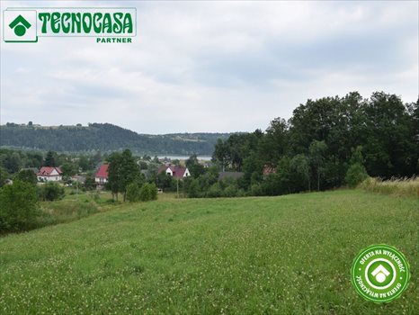 Działka budowlana na sprzedaż Droginia 3 000m2 Foto 1