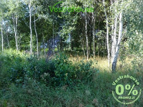 Działka rolna na sprzedaż Główczyce 5 026m2 Foto 8