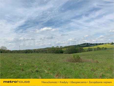 Działka inna na sprzedaż Trzepowo, Przywidz 1 025m2 Foto 3
