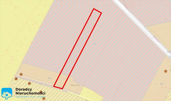 Działka inwestycyjna na sprzedaż Antoniew 14 000m2 Foto 1