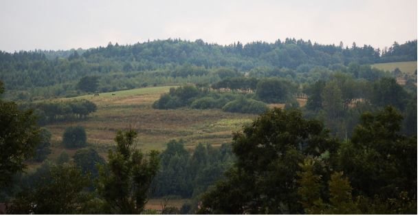 Działka budowlana na sprzedaż Rymanów 1 700m2 Foto 8