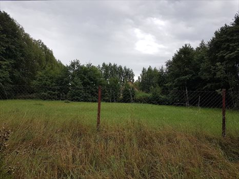 Działka budowlana na sprzedaż Odargowo, ul. Morska 1 532m2 Foto 2