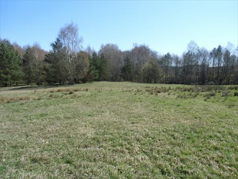 Działka budowlana na sprzedaż Kielno, Wiśniowa 1 415m2 Foto 4