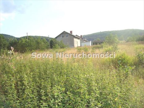 Działka budowlana na sprzedaż Wałbrzych, Poniatów 1 650m2 Foto 3