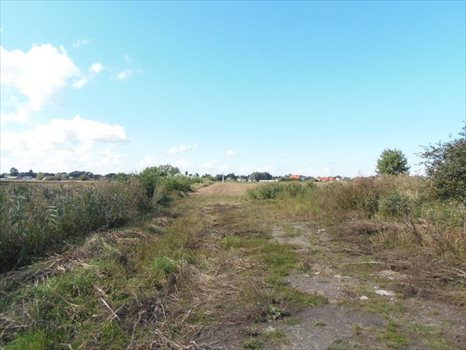 Działka inna na sprzedaż Nowy Dwór Gdański, Zagonowa 9 066m2 Foto 6