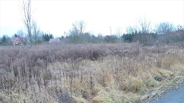 Działka komercyjna na sprzedaż Gorzów Wielkopolski, Karnin 872m2 Foto 5
