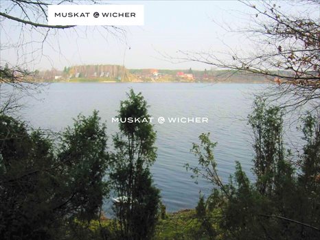 Działka leśna na sprzedaż Wdzydze Tucholskie 6 045m2 Foto 1