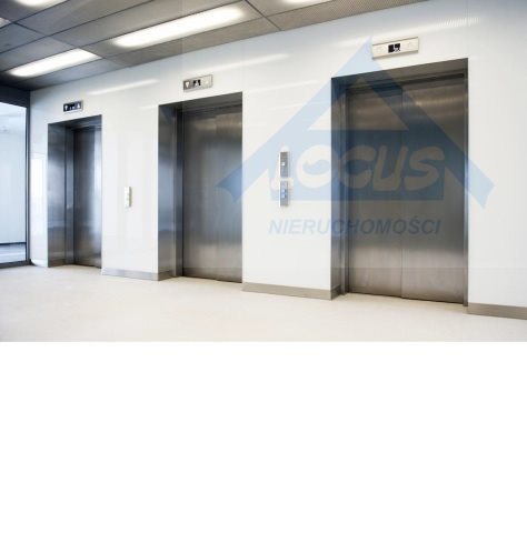 Lokal użytkowy na wynajem Warszawa, Włochy 500m2 Foto 5