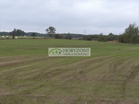 Działka budowlana na sprzedaż Małkowo 1 300m2 Foto 10