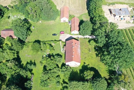 Dom na sprzedaż Węgorzewo, Łuczańska 631m2 Foto 6