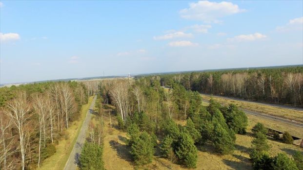 Działka inwestycyjna pod dzierżawę Czerwony Bór 10 000m2 Foto 4