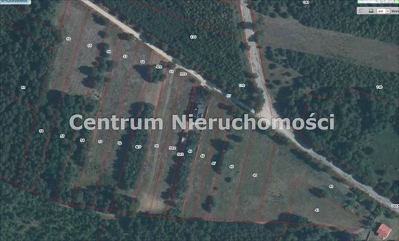 Działka inna na sprzedaż Dylów Szlachecki 2 300m2 Foto 2