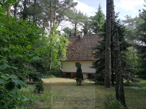 Dom na sprzedaż Deskurów 80m2 Foto 11