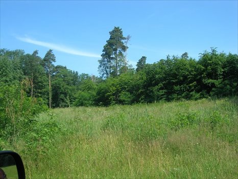 Dom na sprzedaż Brzeg Dolny, ok Brzegu DOLNEGO 227m2 Foto 5