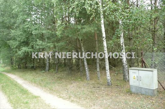 Działka rekreacyjna na sprzedaż BORY TUCHOLSKIE, LIPY, gm. STARA KISZEWA 2 024m2 Foto 3