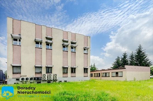 Lokal użytkowy na sprzedaż Śrem 2 516m2 Foto 6