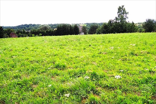 Działka budowlana na sprzedaż Włosań 1 200m2 Foto 7