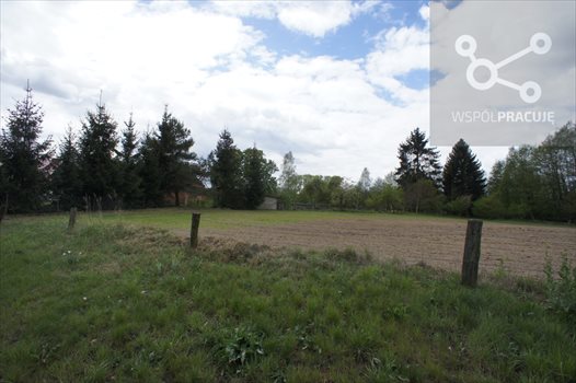 Dom na sprzedaż Danowo 26 400m2 Foto 13