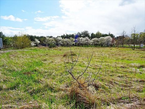 Działka inwestycyjna pod dzierżawę Grudziądz 4 500m2 Foto 3