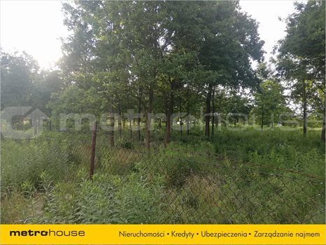 Działka inna na sprzedaż Dąbrówka Wielka, Zgierz 2 669m2 Foto 4