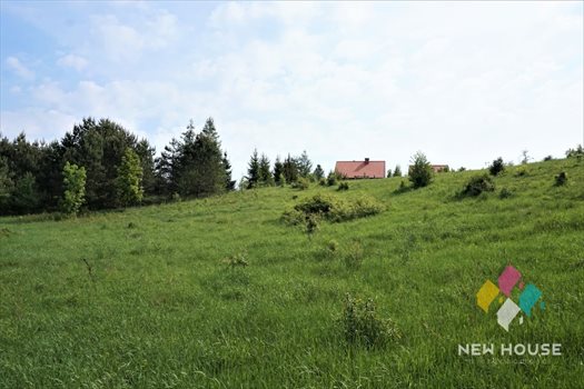 Działka siedliskowa na sprzedaż Łutynowo 3 006m2 Foto 3
