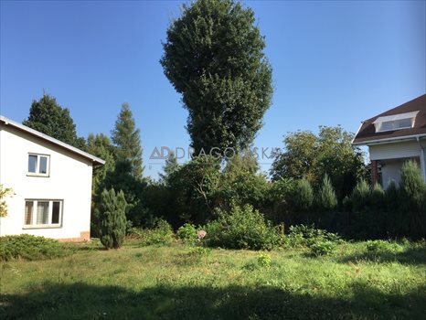 Dom na sprzedaż Stasi Las 115m2 Foto 5