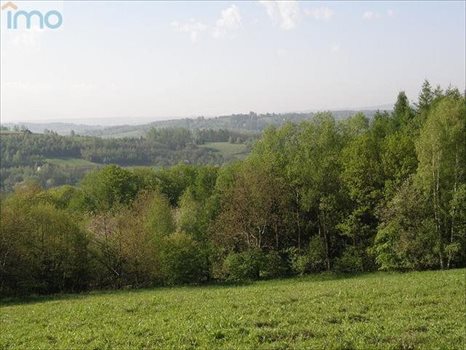 Działka budowlana na sprzedaż Kielnarowa 1 450m2 Foto 3
