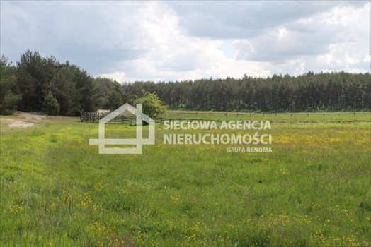 Działka budowlana na sprzedaż Lubowidz 1 066m2 Foto 2