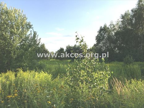 Działka budowlana na sprzedaż Łoś 1 390m2 Foto 4