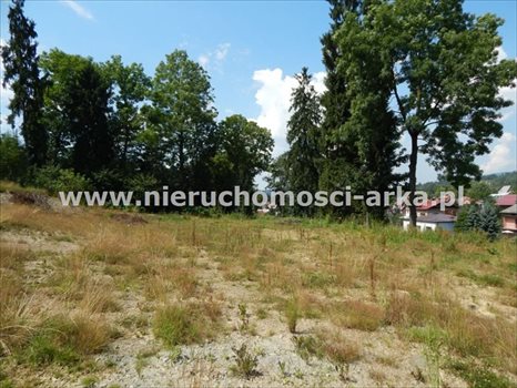 Działka budowlana na sprzedaż Rabka-Zdrój 6 900m2 Foto 2