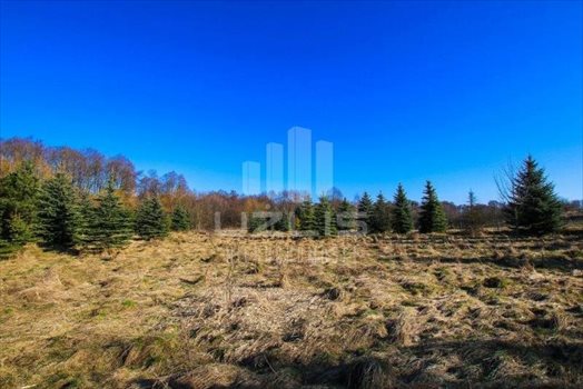 Działka inna na sprzedaż Bielkówko, Dworcowa 10 000m2 Foto 6
