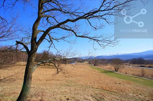 Kawalerka na sprzedaż Jelenia Góra, Cieplice Śląskie-Zdrój, Panorama na Karkonosze 38m2 Foto 5