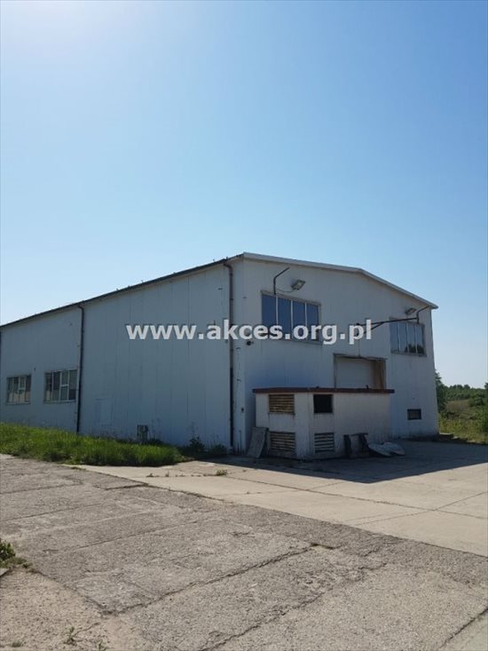 Lokal użytkowy na wynajem Tarczyn 1 168m2 Foto 1