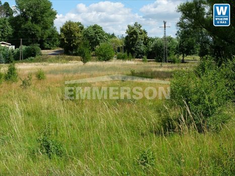 Działka budowlana na sprzedaż Łąck, Zdwórz 3 742m2 Foto 4