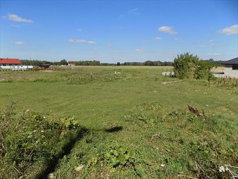 Działka inna na sprzedaż Trzepowo, Trzepowo, Trzepowo 1 644m2 Foto 6