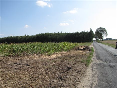 Działka budowlana na sprzedaż Marydół, Trasa Marydół - Siedlików 8 183m2 Foto 2