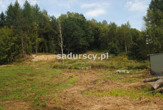Działka budowlana pod dzierżawę Gosprzydowa 50 000m2 Foto 5