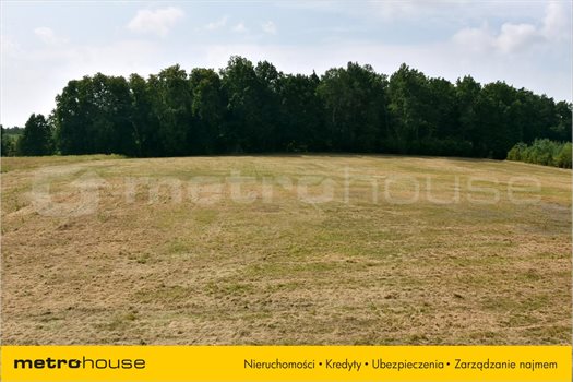 Działka rolna na sprzedaż Smolajny, Dobre Miasto 3 548m2 Foto 3