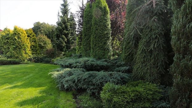 Dom na sprzedaż Otwock 190m2 Foto 11