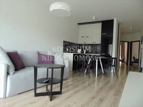 Mieszkanie trzypokojowe na wynajem Toruń, Powiśle, Winnica 55m2 Foto 3