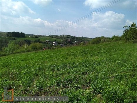 Działka budowlana na sprzedaż Wierzchowie 1 750m2 Foto 6