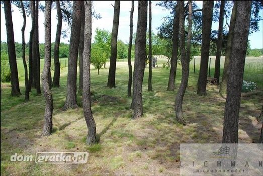 Działka rekreacyjna na sprzedaż Ldzań, Aleja 1 300m2 Foto 6