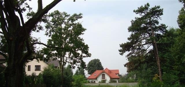 Działka budowlana na sprzedaż Warszawa, Wawer, Kościuszkowców 3 450m2 Foto 8