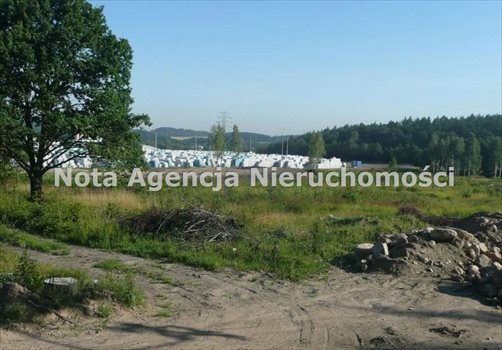 Działka budowlana na sprzedaż Wałbrzych, Szczawienko 42 500m2 Foto 3