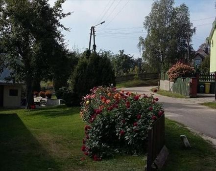 Działka rekreacyjna na sprzedaż Wolin, Skoszewo 3 100m2 Foto 8