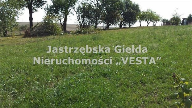 Działka inna na sprzedaż Jastrzębie-Zdrój, Szeroka 1 030m2 Foto 1